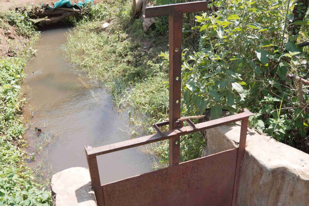 Reviving Ecosystems, Restoring Livelihoods: How Native PEP is Transforming Lives of Communities in Baringo County