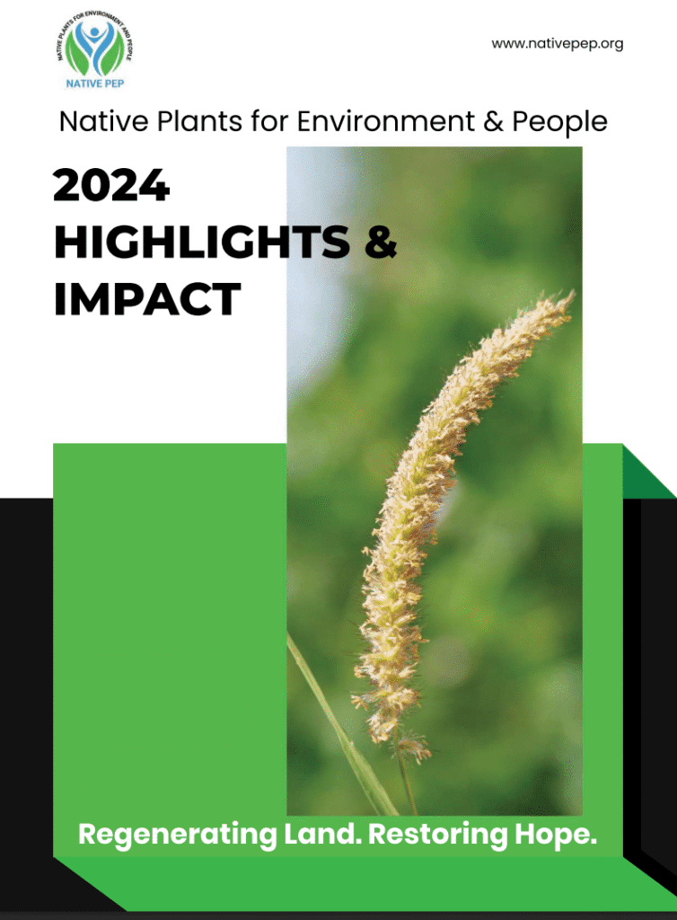 2024 HIGHLIGHTS & IMPACT OF NATIVE PEP PROJET
