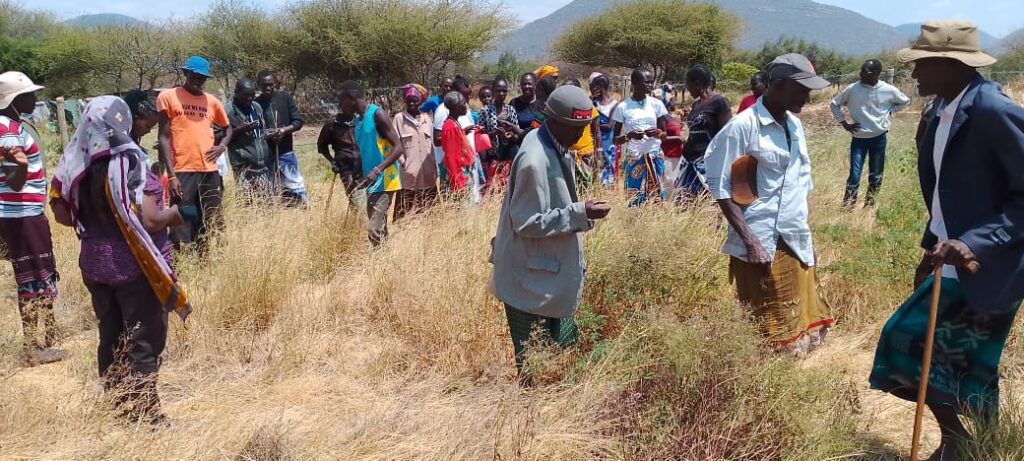 Advancing Ecological Restoration through Fodder Trials and Community Engagement in Ariemet, Nasuulu Community conservancy- Isiolo